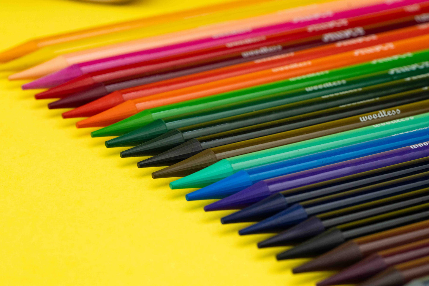 12 Tin JellyCo Premium Quality Colour Pencils