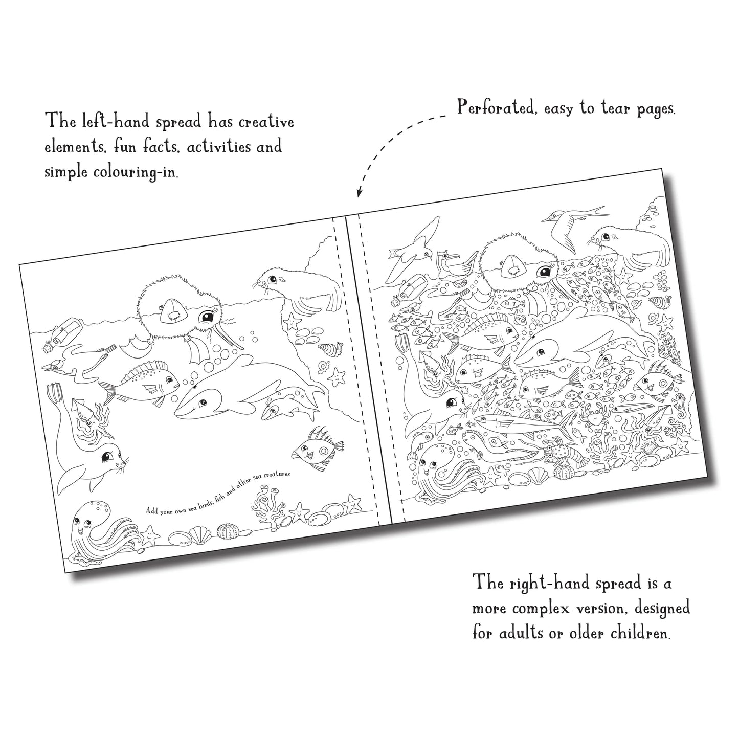 Kuwi's Creative Colouring Book: For Big and Small People